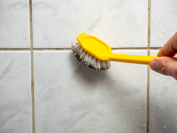 Best Emergency Mold Remediation in Pike Creek, DE