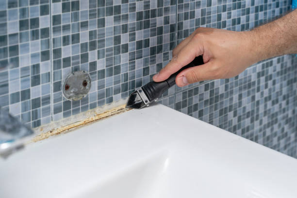 Best White Mold Remediation in Pike Creek, DE